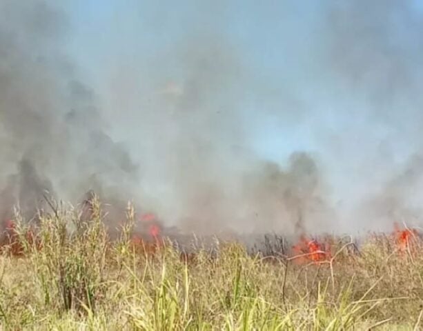 Los bomberos pusieron dos incendios de malezas fuera de control establecidos por el mismo ranchero en el mismo día