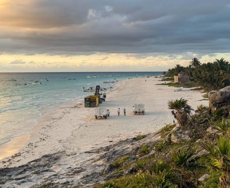 Zofemat dice que las playas de Tulum alcanzaron un 30 a 35 por ciento más de Sargassum que la temporada pasada