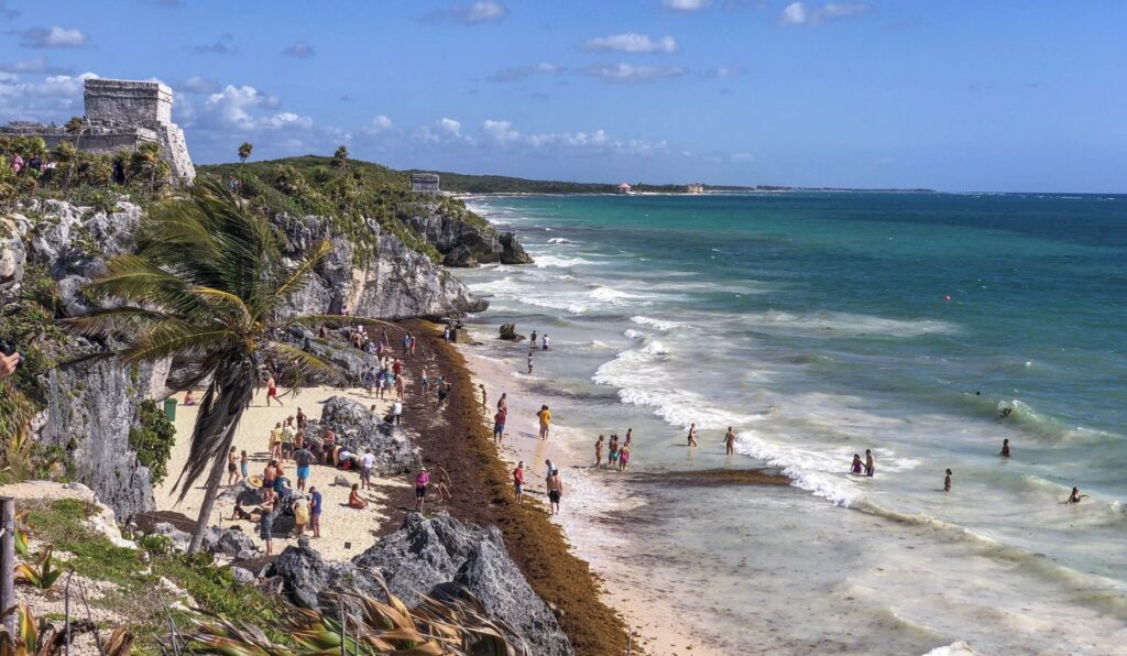 Alerta de temporada del Caribe Sargassum mexicano más destinos afectados y menos afectados