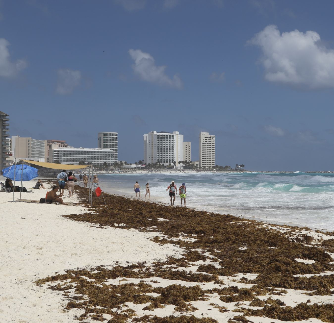 Zona hotelera de Cancún Sargassum