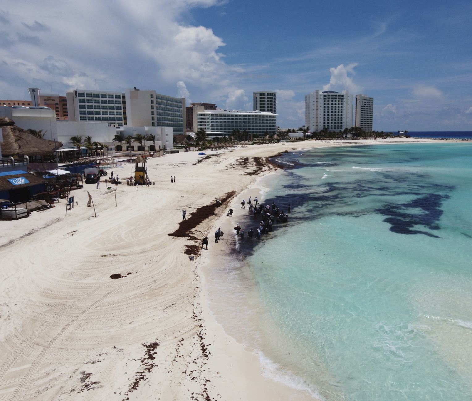 Sargassum en la playa de arena blanca