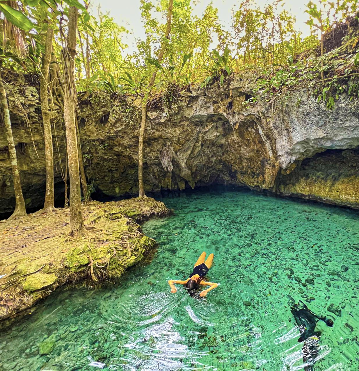 Tour de Cenote de Cancún