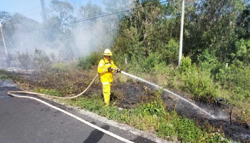 Los bomberos de PDC extinguen fuego a lo largo de la sección de la carretera del norte