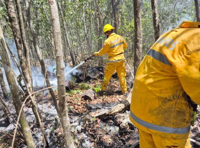 Los bomberos luchan 32 incendios durante el fin de semana 20 de los cuales fueron incendios forestales debido a la actividad negligente