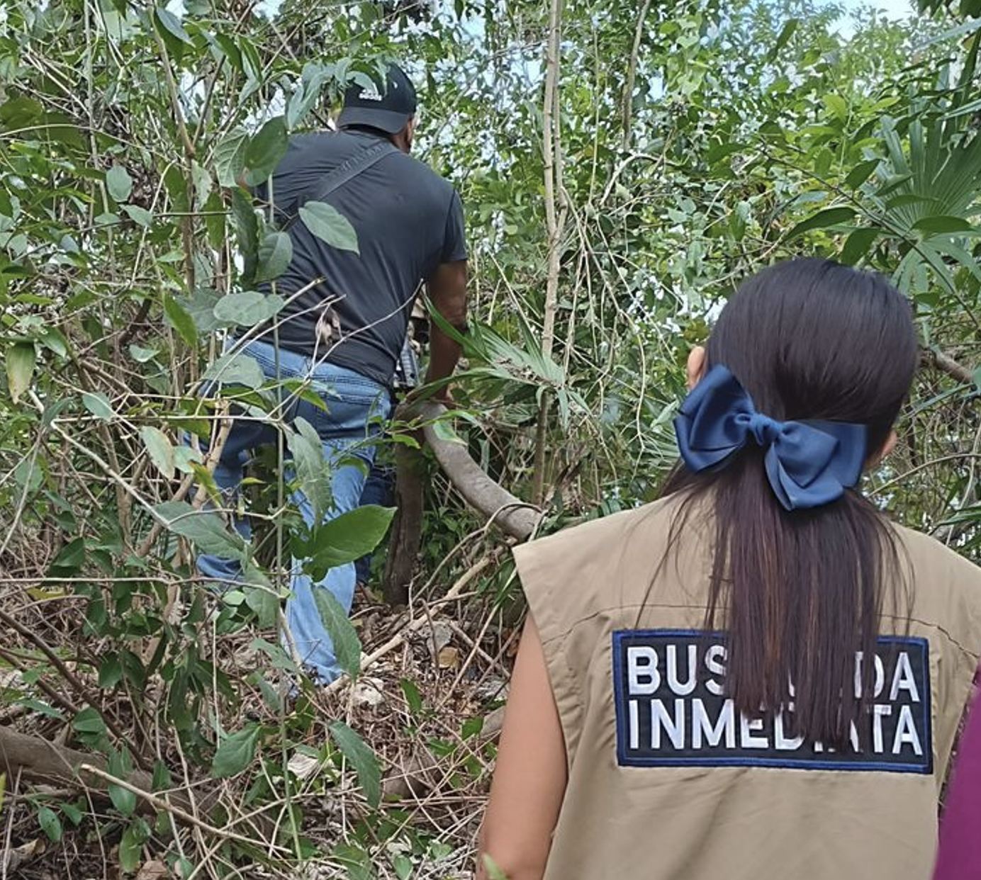 Salpicando en la jungla por la desaparición de Argentina Tourist
