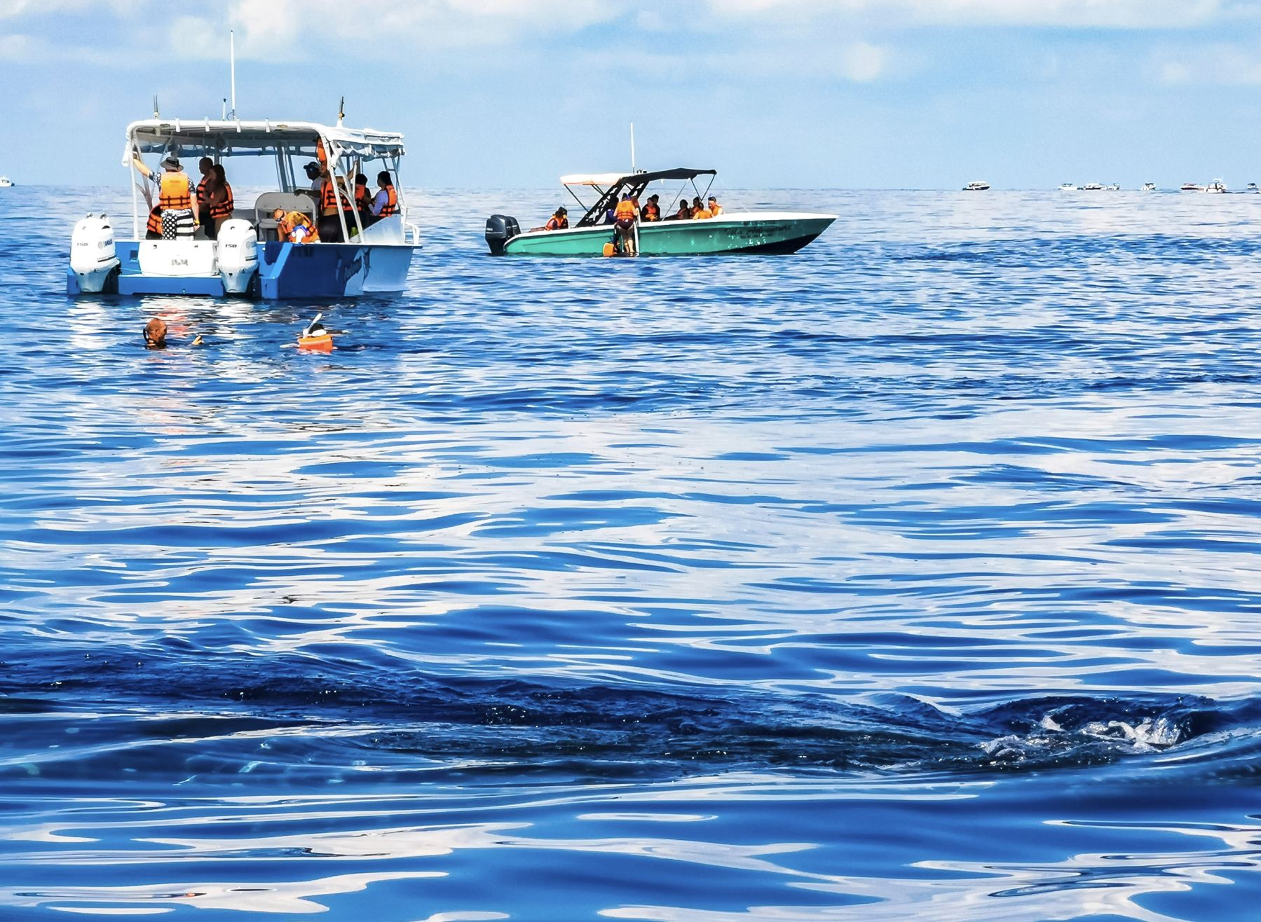 Barcos en el agua para el tour del tiburón ballena.