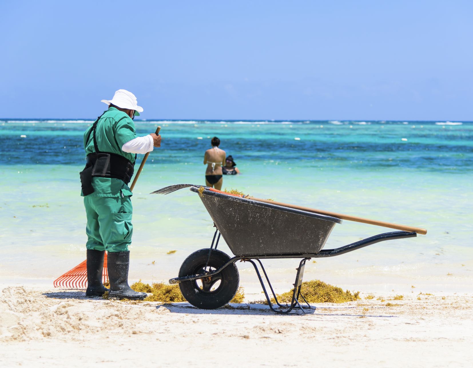 Trabajador mexicano recogiendo algas de Sargassum en playas de la Riviera Mayan, Playa del Carmen, México, Mar Turquesa