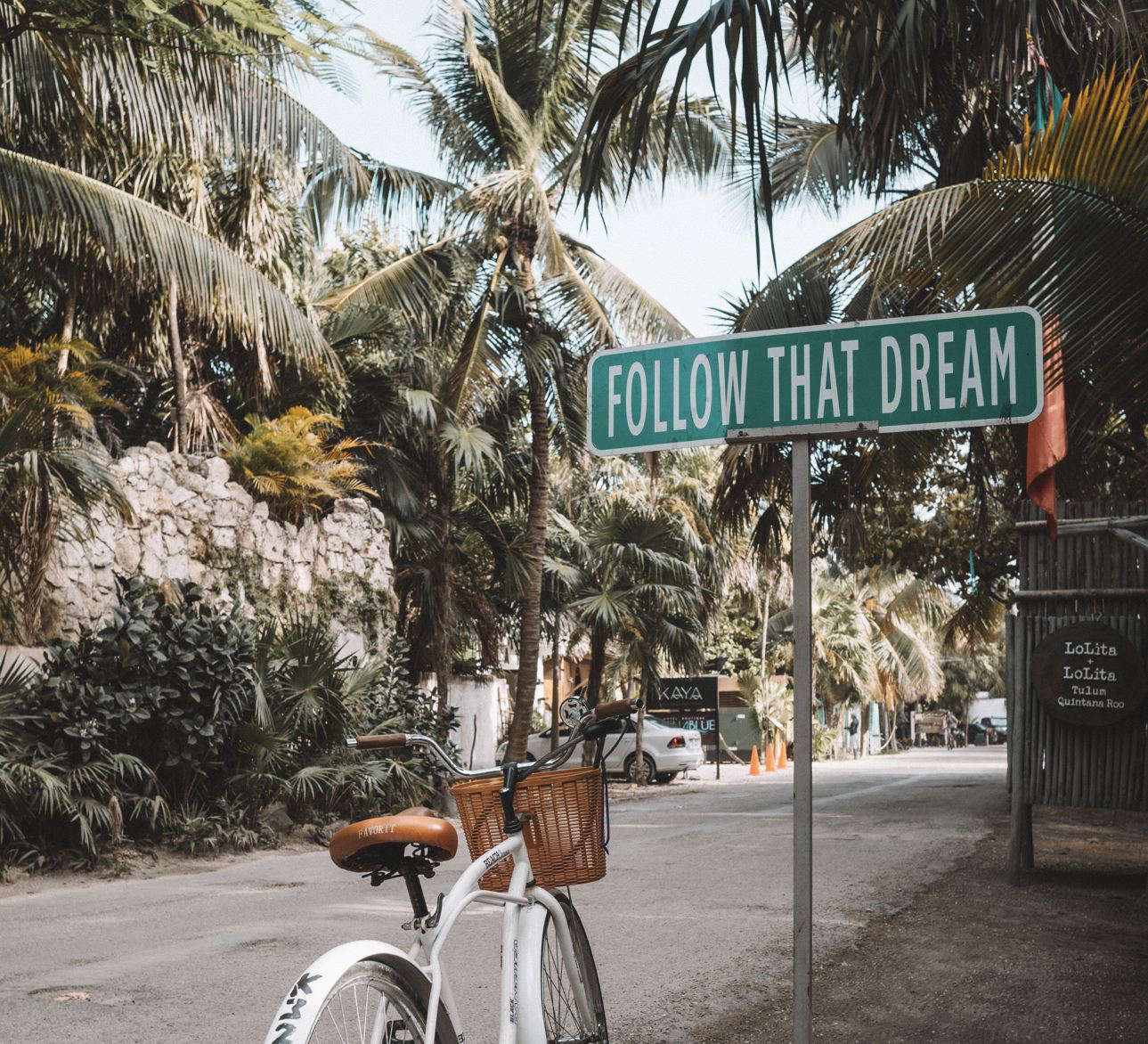 camino en tulum