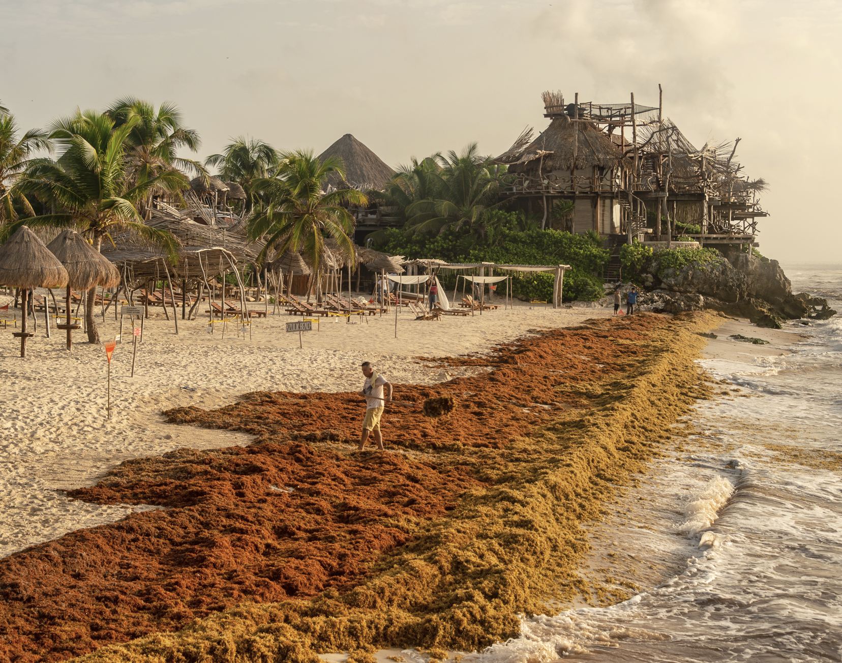 Sargassum en Tulum