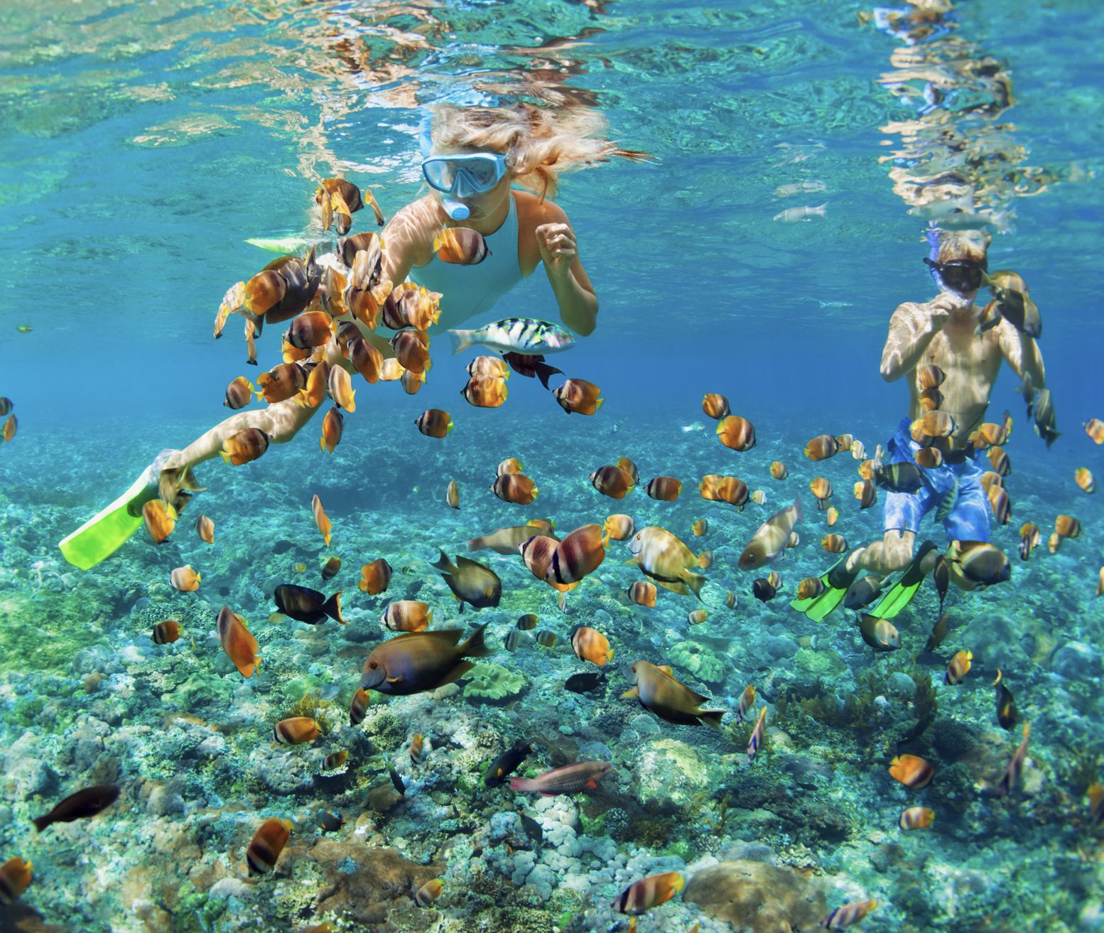 snorkel