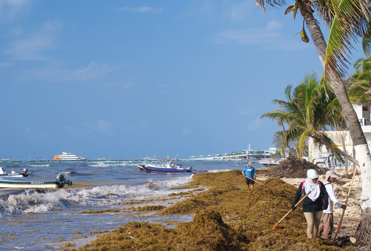 La oleada de sargazo incita a los turistas a buscar actividades alternativas en Playa del Carmen
