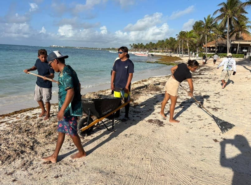 Los voluntarios despejan la bahía de Akumal de lo que ha llegado las algas altas
