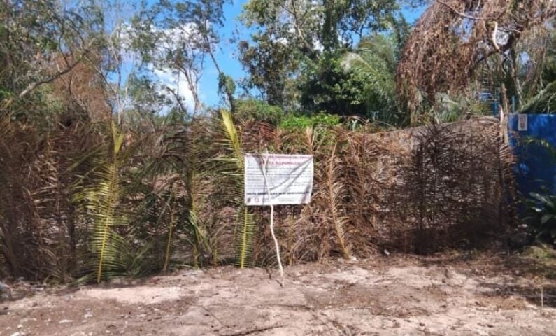 Las agencias de Cozumel advierten sobre posibles ventas de fraude mientras luchan contra los invasores de su propia tierra