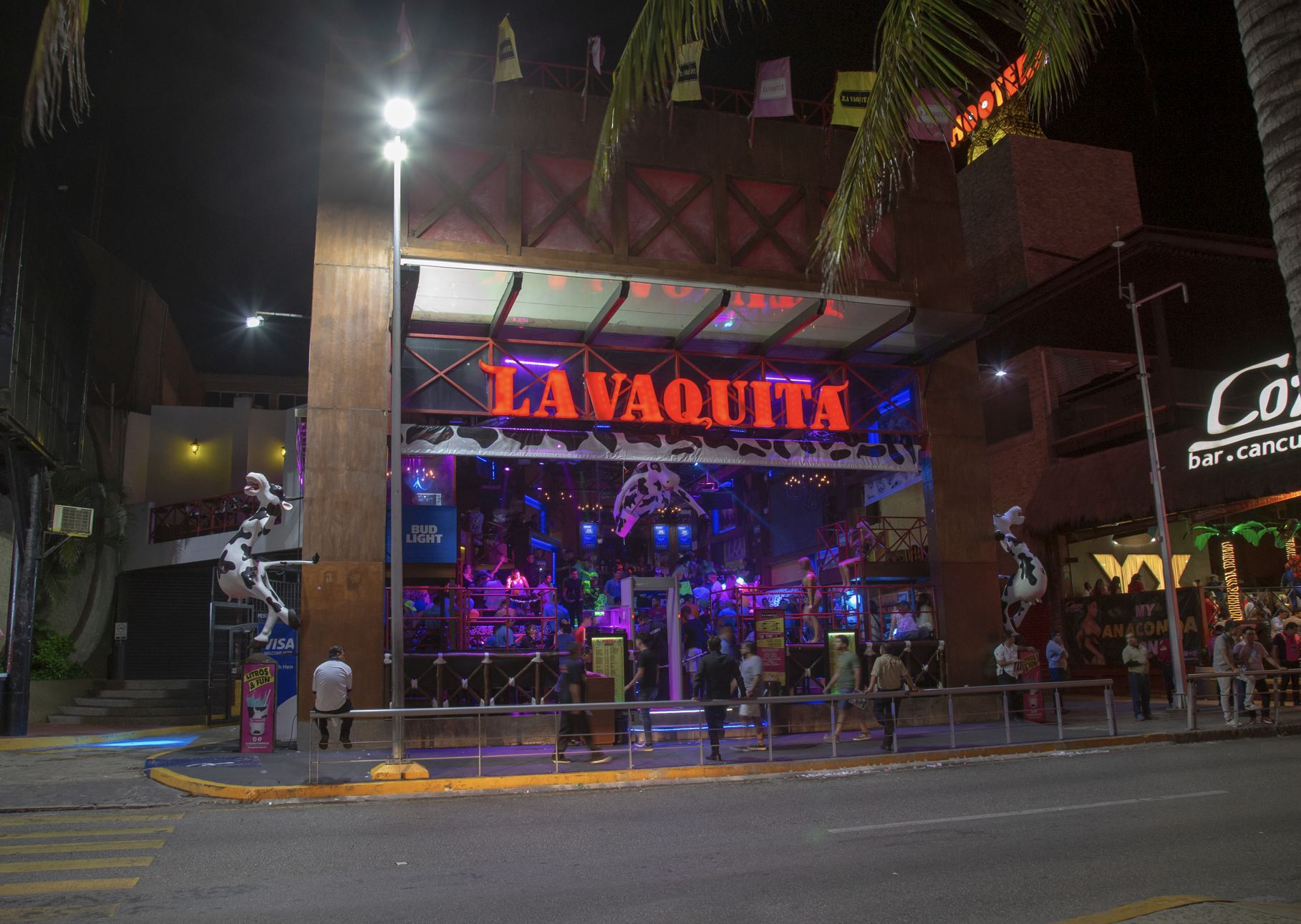 Zona hotelera por la noche la vaquita