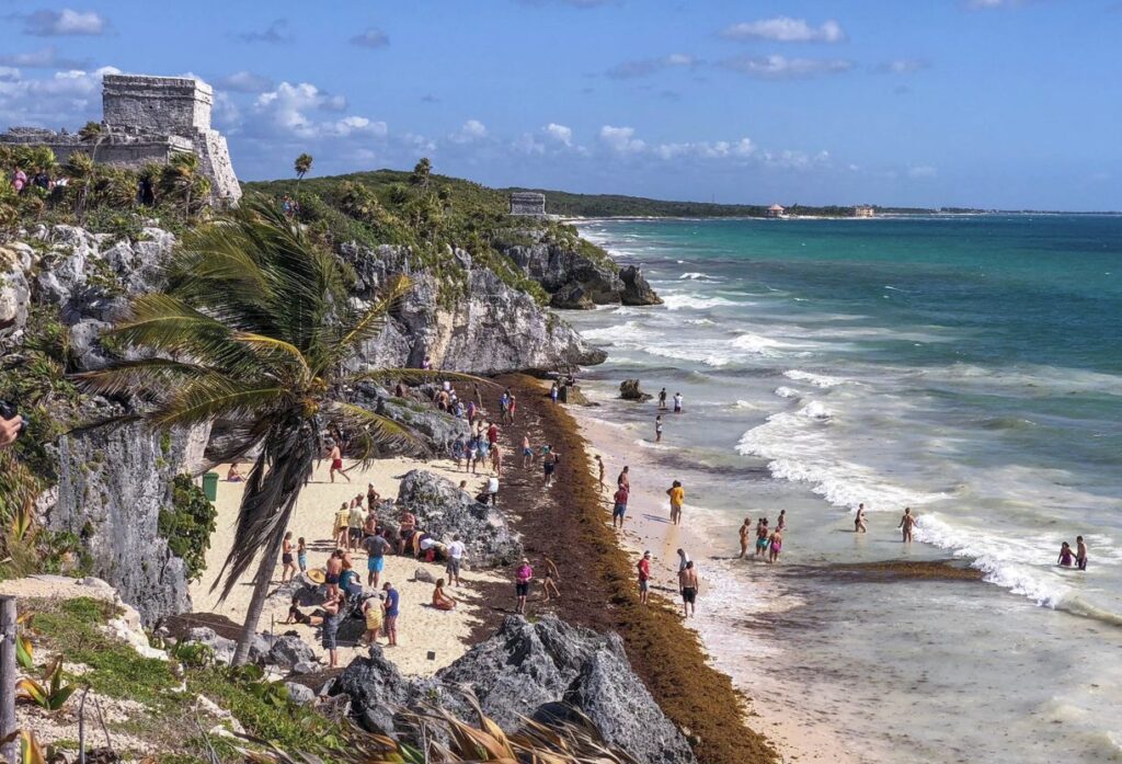 Tulum lucha para mantenerse al día con la invasión masiva de Sargassum en comparación con el año pasado