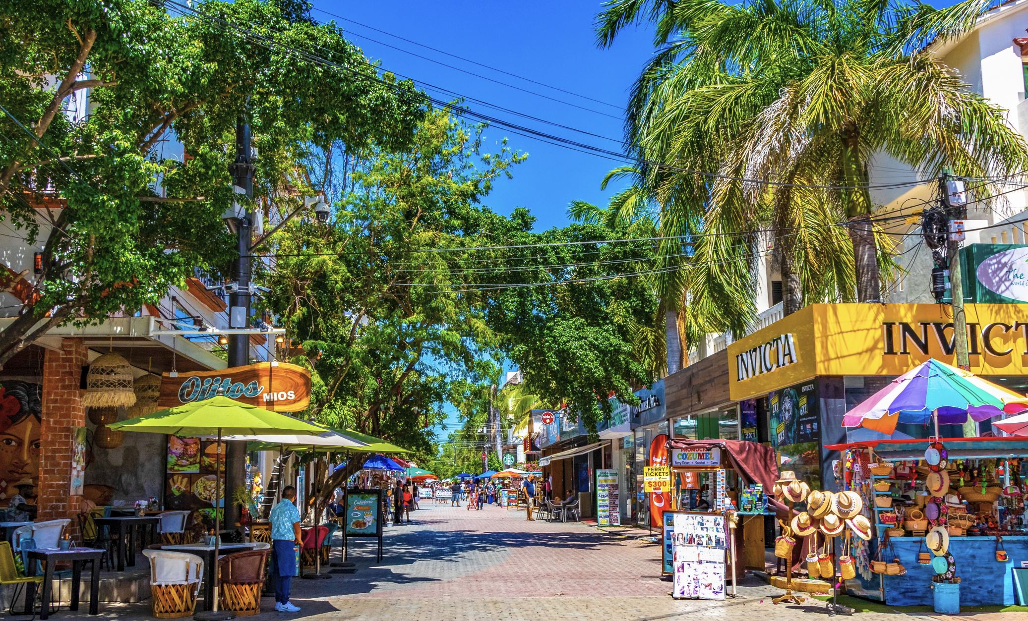 5ta Avenida Playa Del Carmen