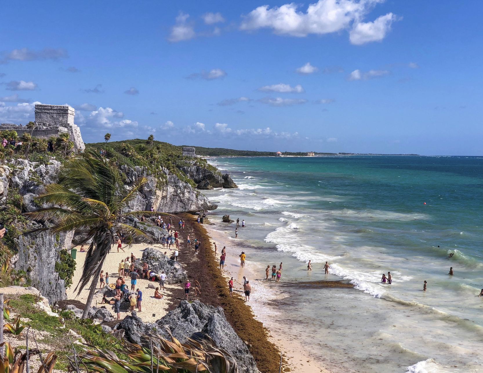 Sargazo de Tulum