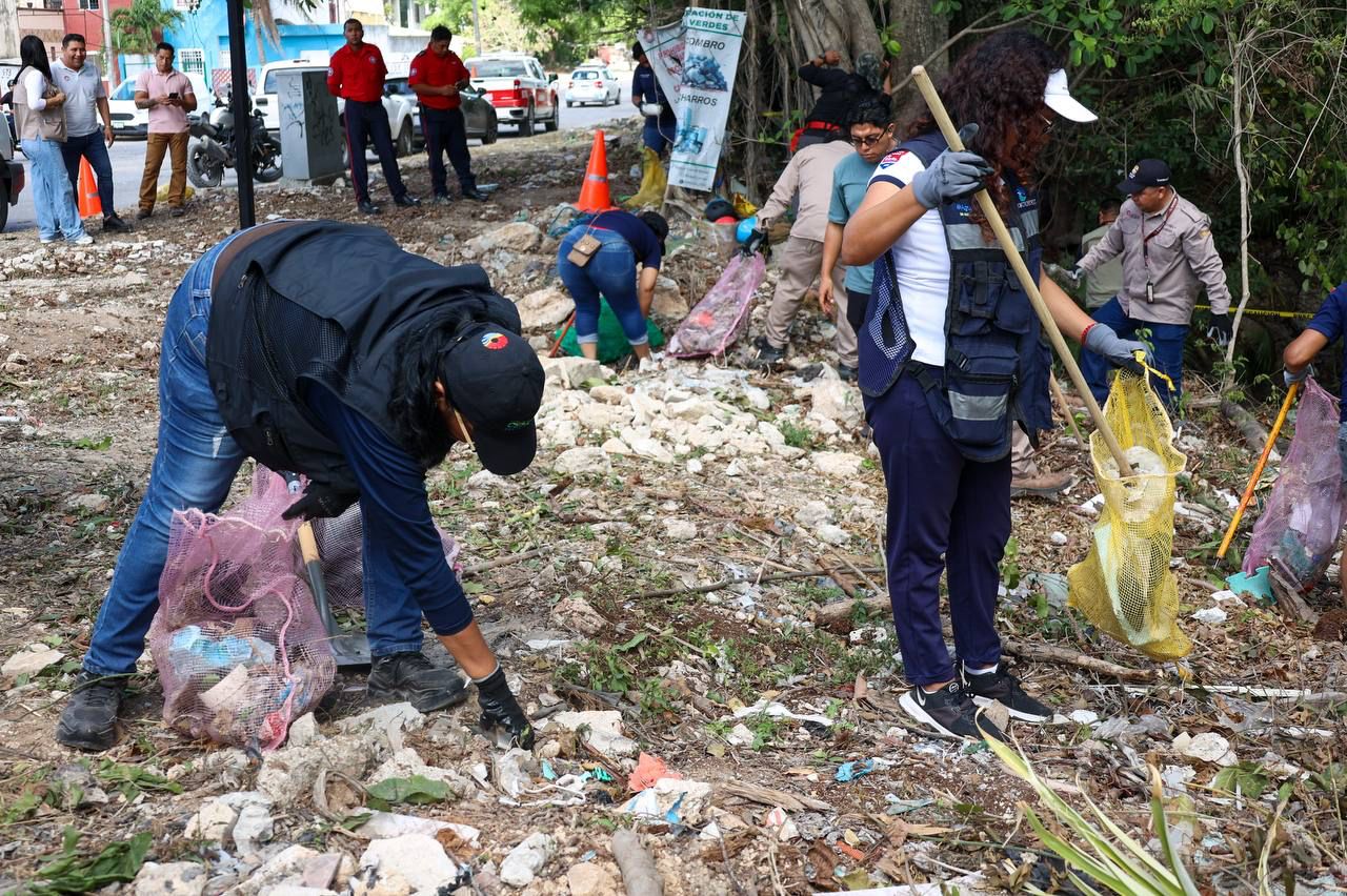 Cenote Clean Up Cancún