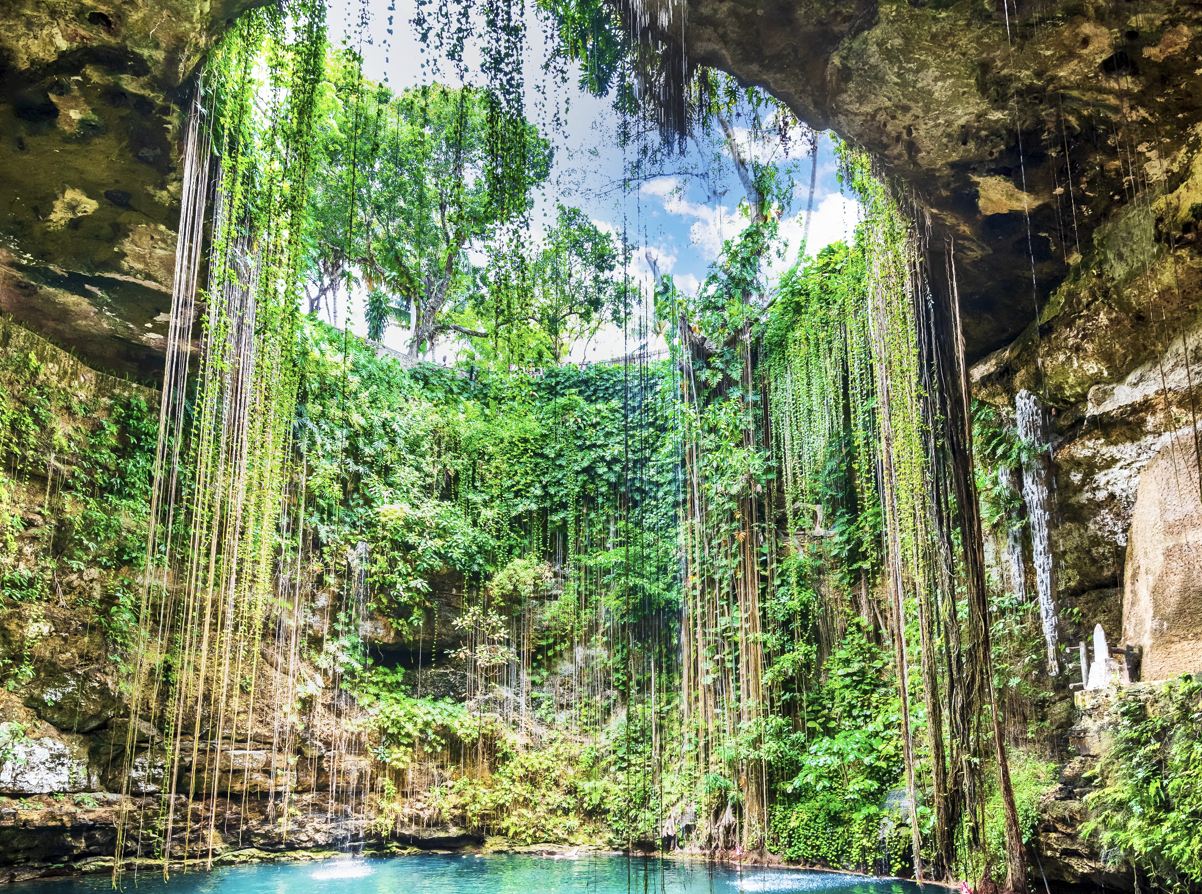 7 toneladas de basura retiradas de los cenotes de Cancún Cómo los viajeros pueden ayudar a proteger estos sitios sagrados