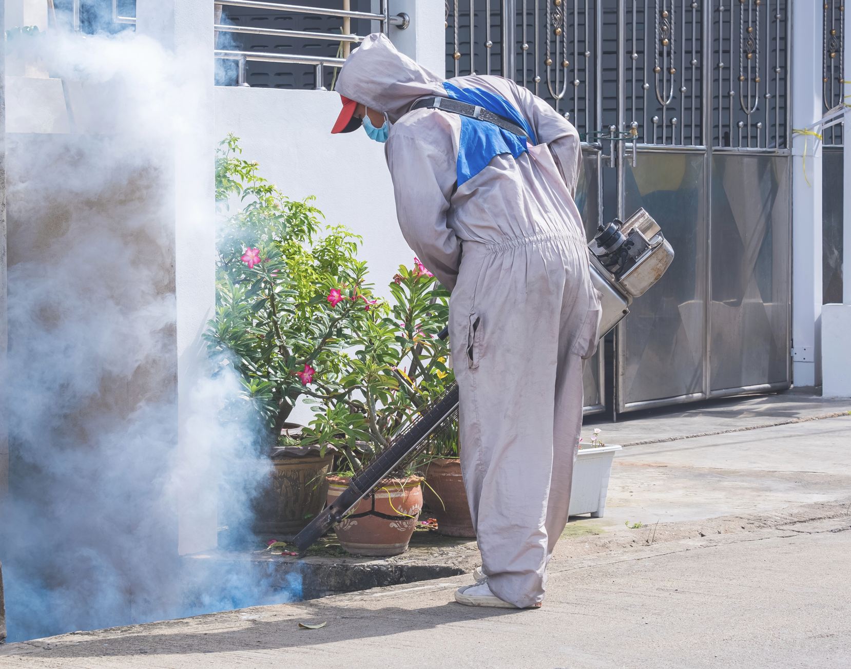 Nebulización de mosquitos