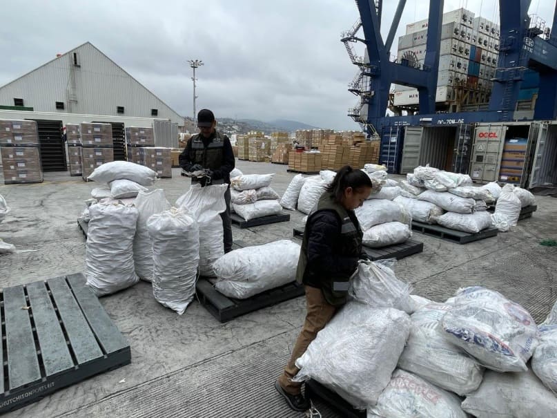 Los federales confiscaron el envío 'histórico' de las aletas de tiburones de México con destino a China