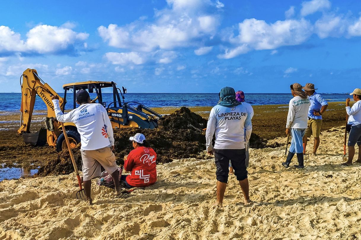 El número de visitantes a Playa del Carmen disminuye en medio de la ola de sargazo