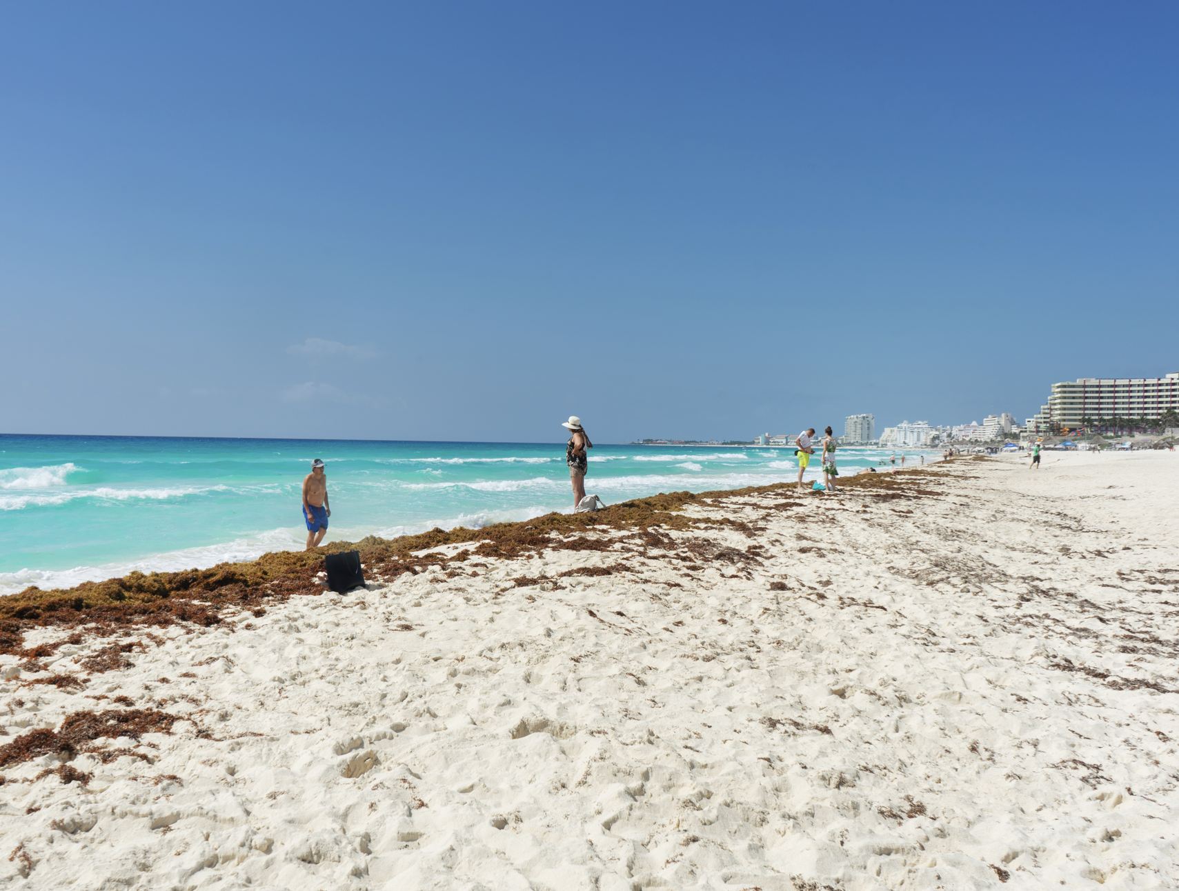 Zona hotelera de Cancún con sargassum ligero