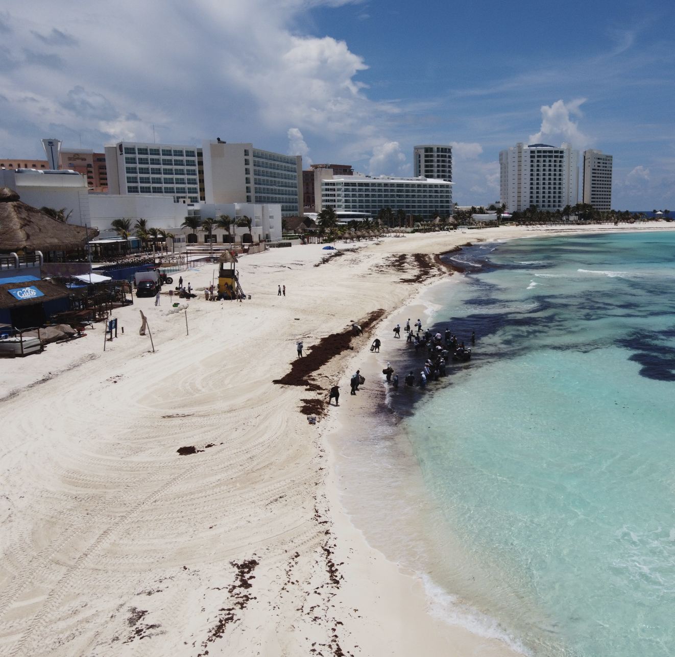 Trabajadores limpiando activamente sargassum