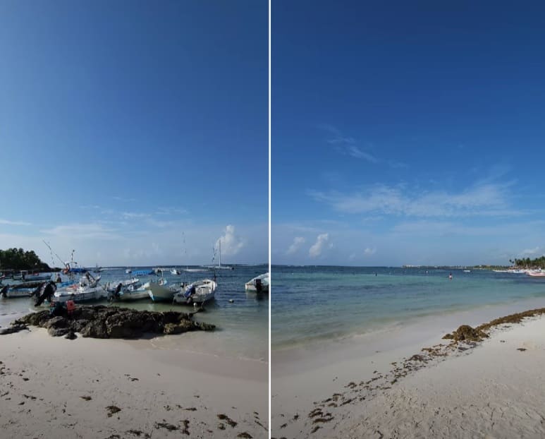 El Secretario de Turismo dice que las reservas de PDC no están afectadas por Sargassum