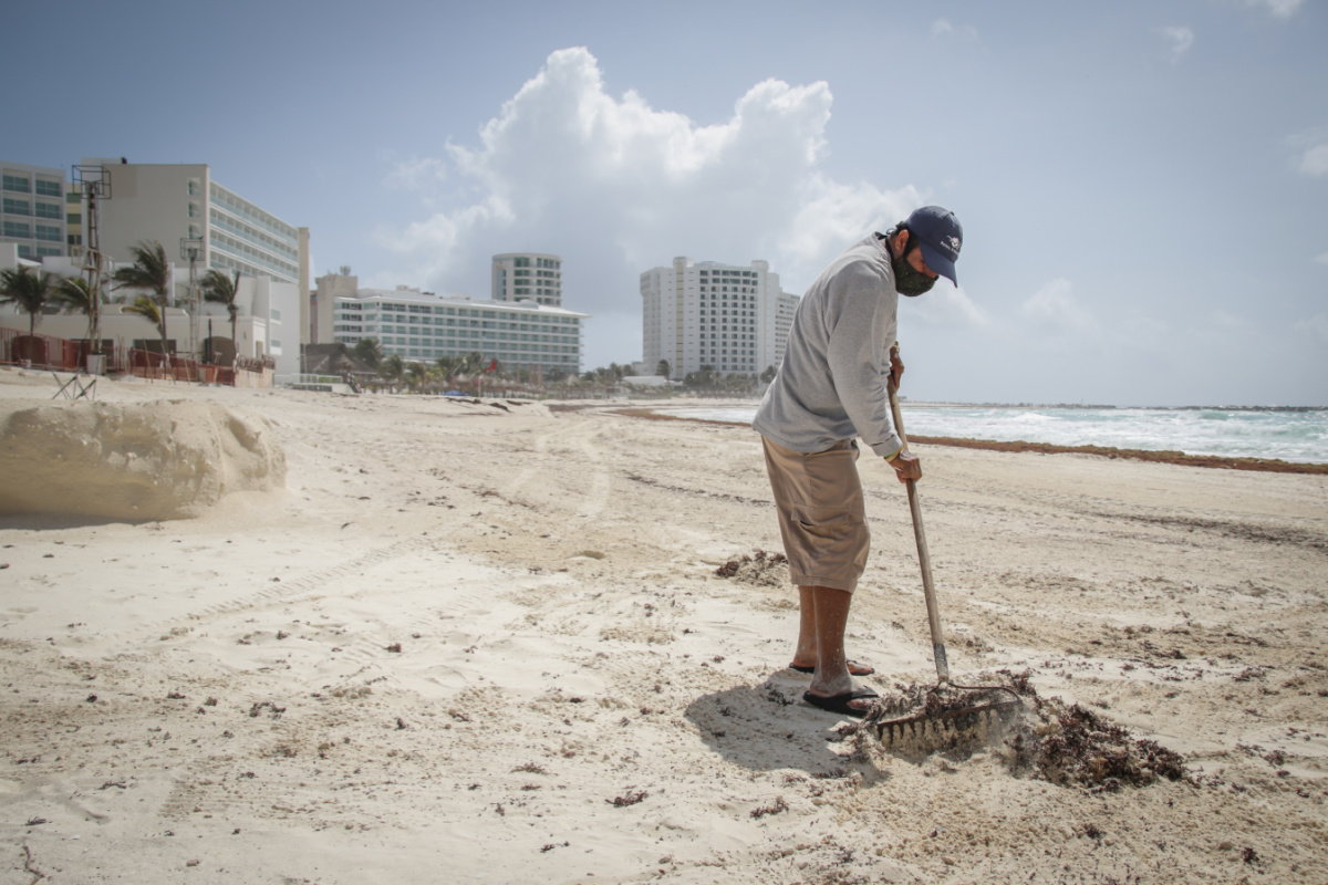 Trabajador limpiando sargazo de una playa en Cancún, México