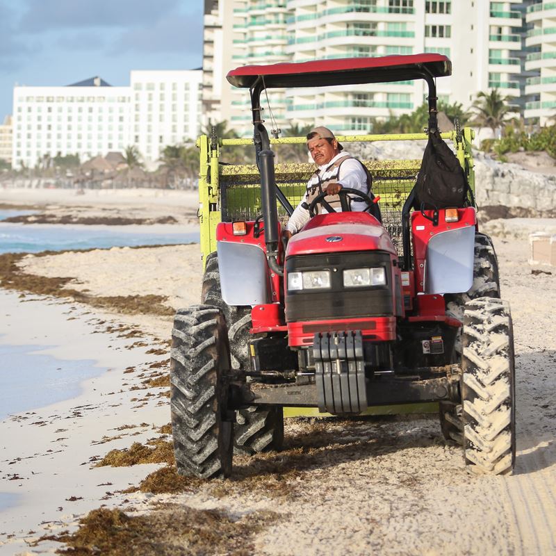 La máquina se usa para limpiar Sargassum en Cancún, México