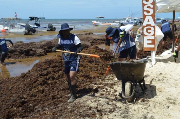 El alcalde dice que la administración enfrenta una de las temporadas de Sargassum más intensas en años