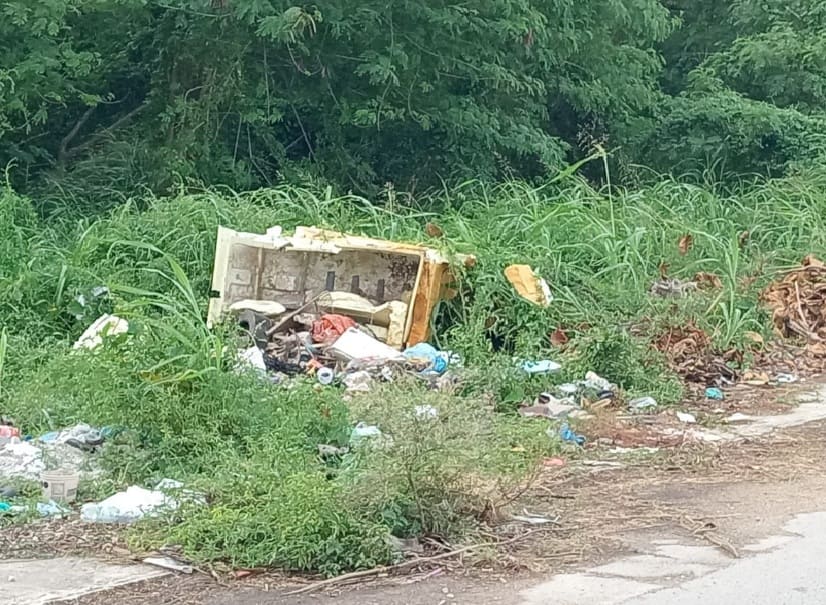 Vigilancia de la ciudad chetumal utilizada para encontrar personas que ensucian