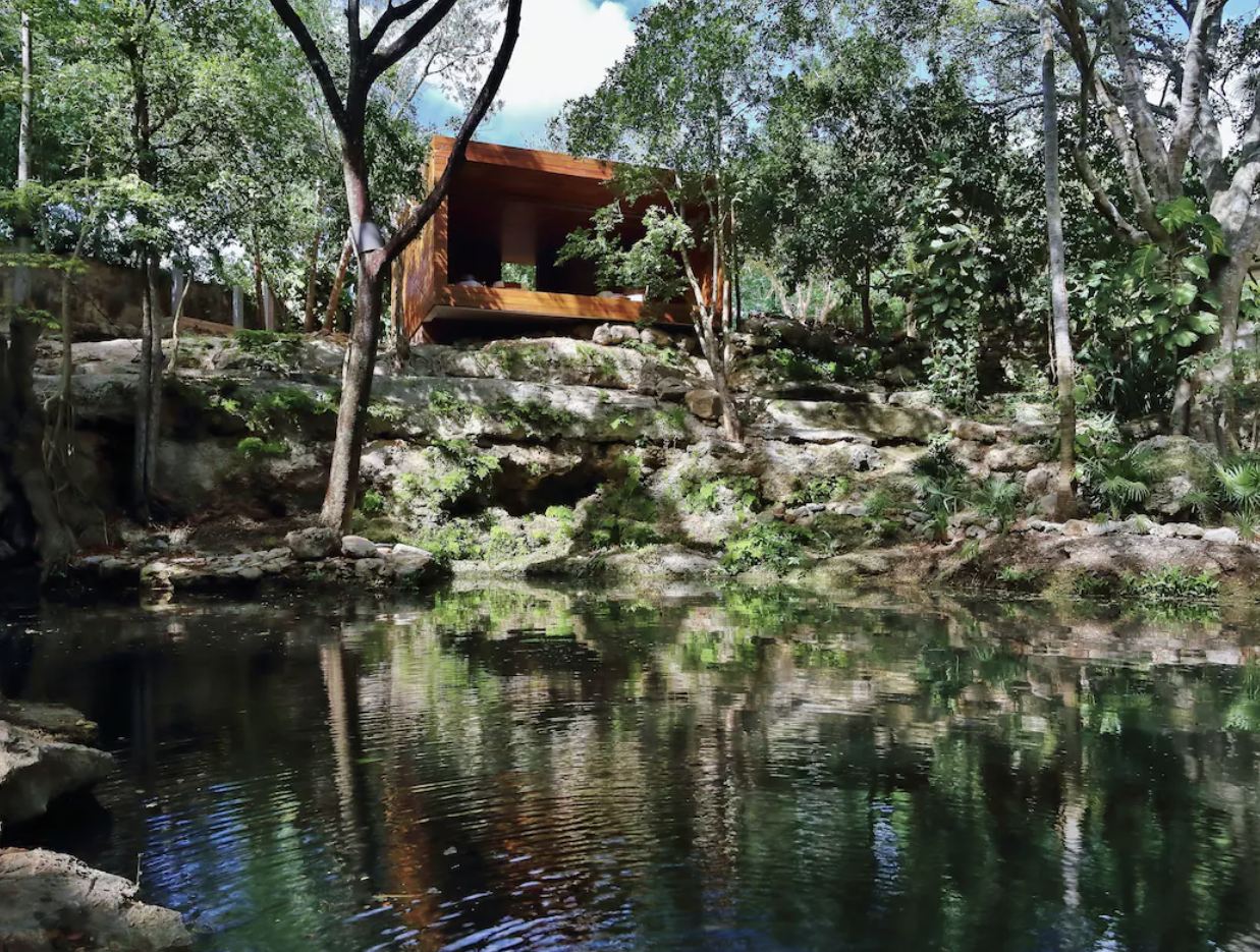 Sala de tratamiento de la jungla