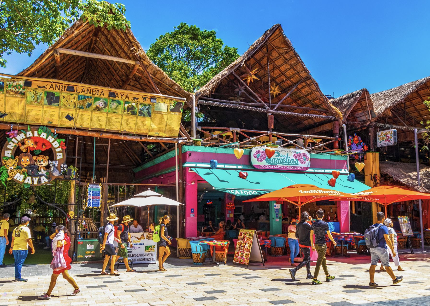 5ta avenida playa del carmen turistas