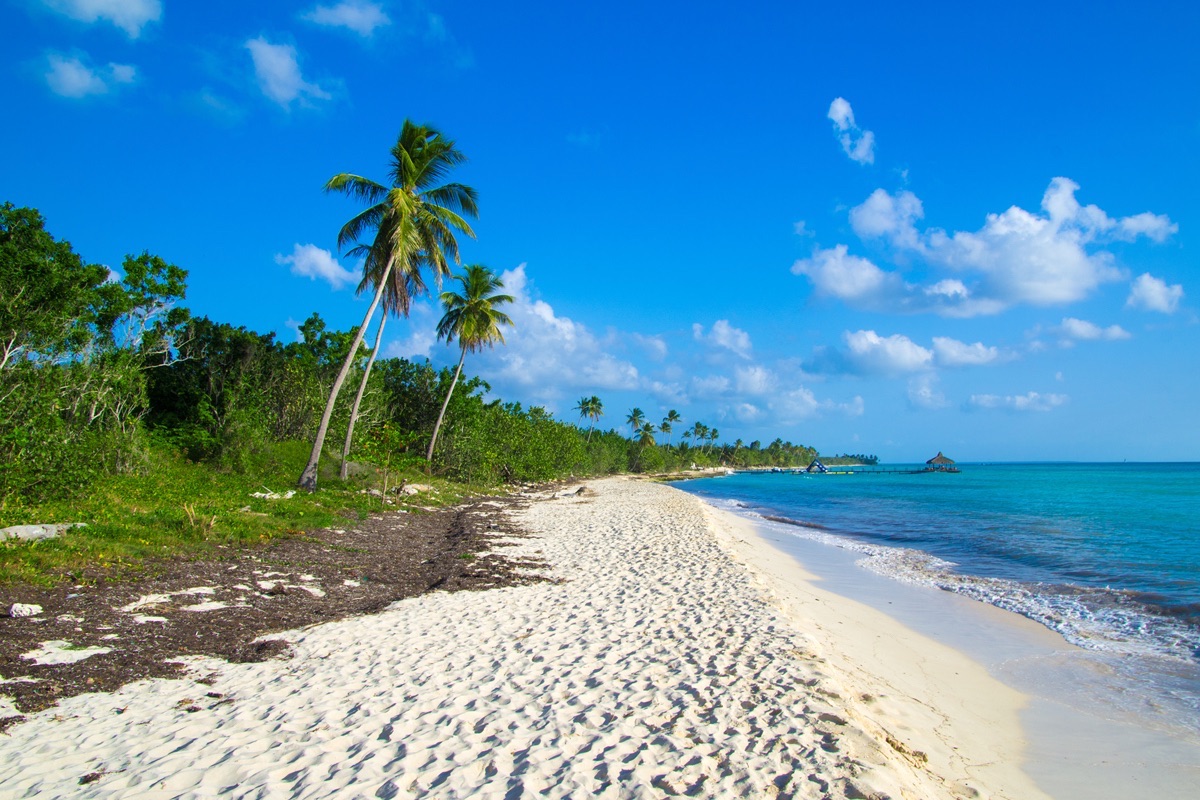 hermosa playa y mar tropical