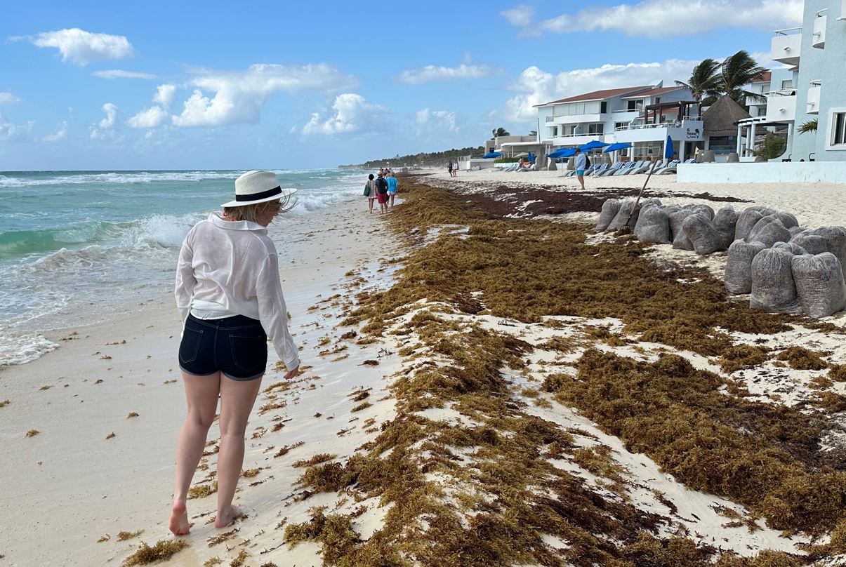 Mujer mirando sargazo en playa del carmen