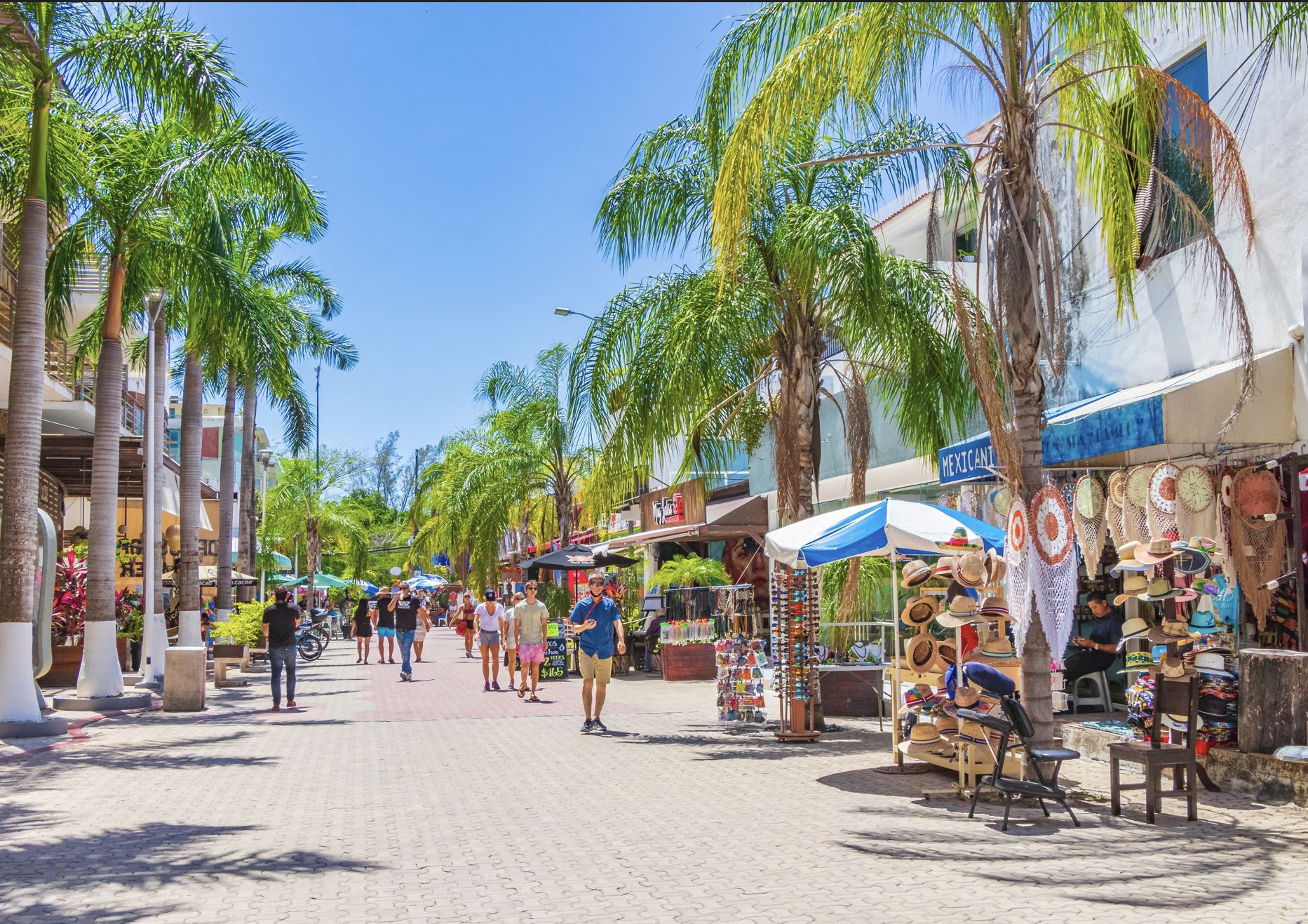 5ta avenida playa del carmen
