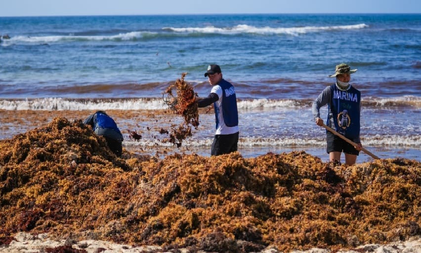Los isleños despejan 40 toneladas de la playa de Cozumel en una limpieza masiva de dos días