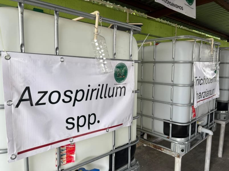 Productores de caña de azúcar de Quintana Roo entrenados en el uso de bioinbuts orgánicos