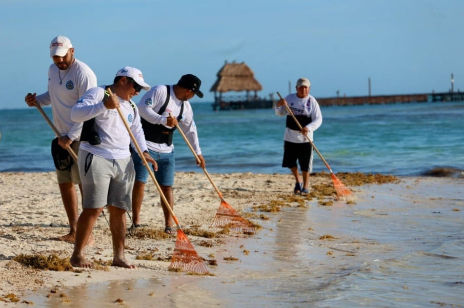 Hotel Association informa 'muy pocas' cancelaciones relacionadas con Sargassum