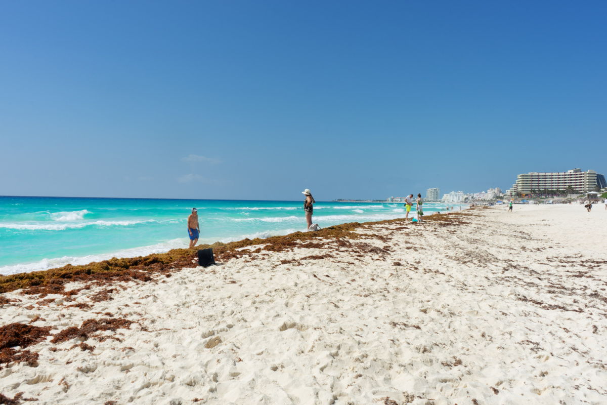Turistas de pie en Sargassum en una playa en Cancún, México