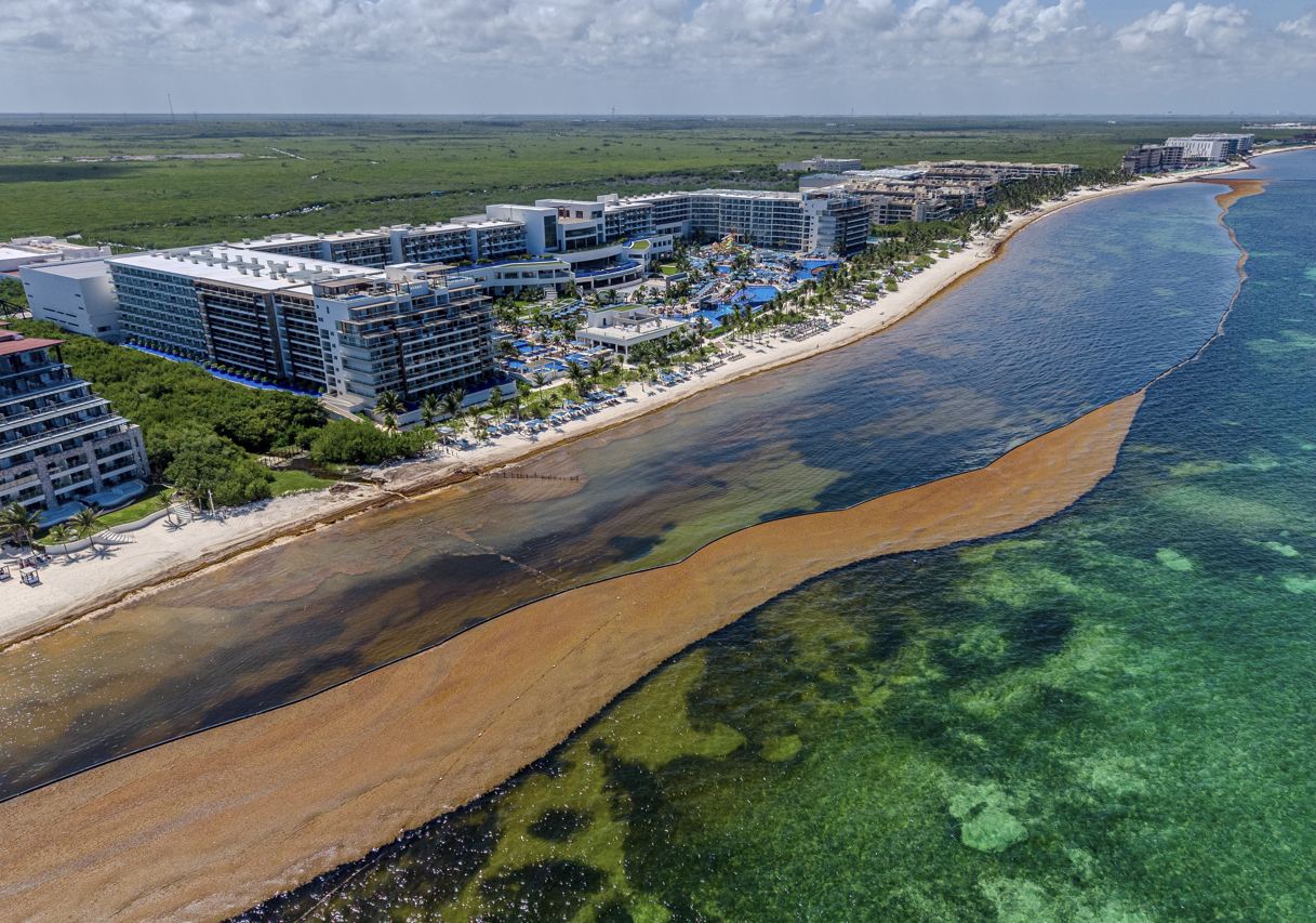 Cancún para lanzar la aplicación de monitoreo de Sargassum en tiempo real para turistas