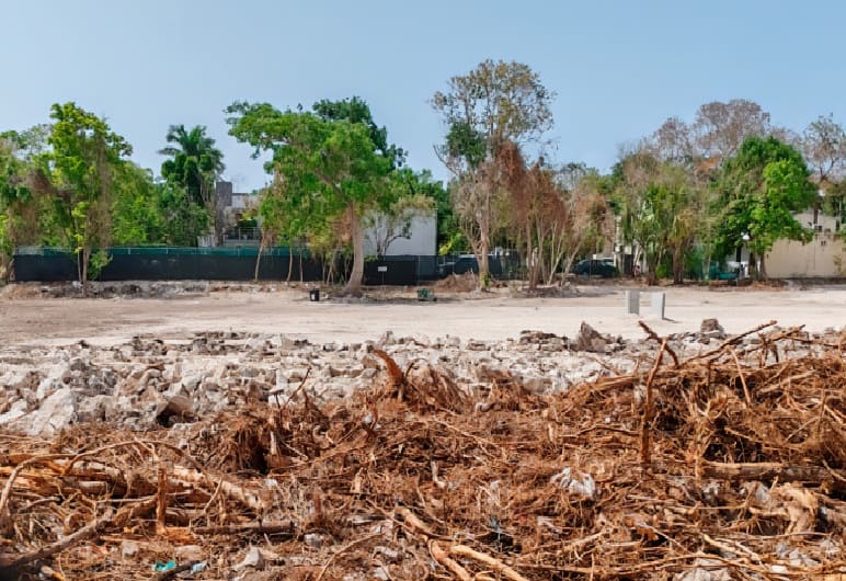Ecología y proceso de inicio del medio ambiente para revocar los permisos de construcción inmobiliarios del desarrollador de PDC