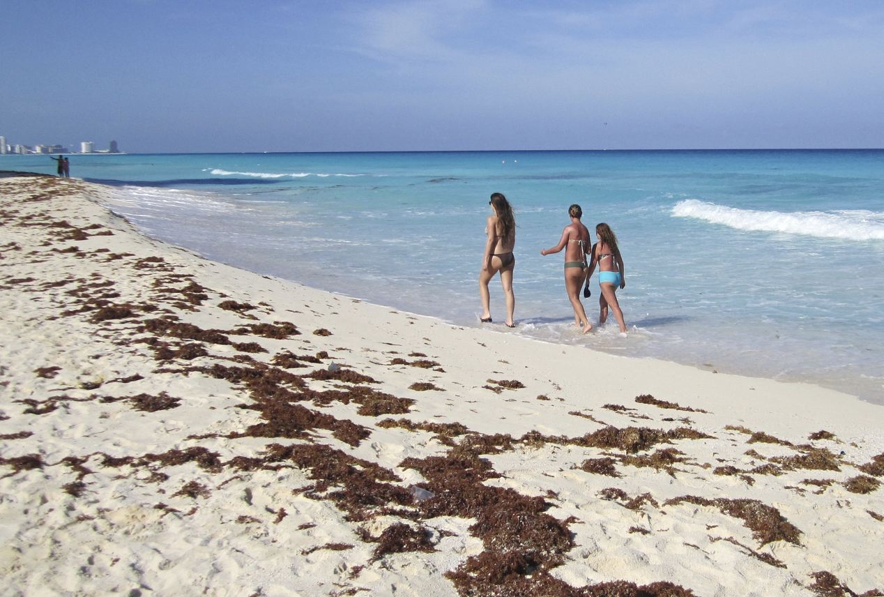 ¿Cuándo termina realmente la temporada de sargazo en Cancún? Aquí está su guía privilegiada