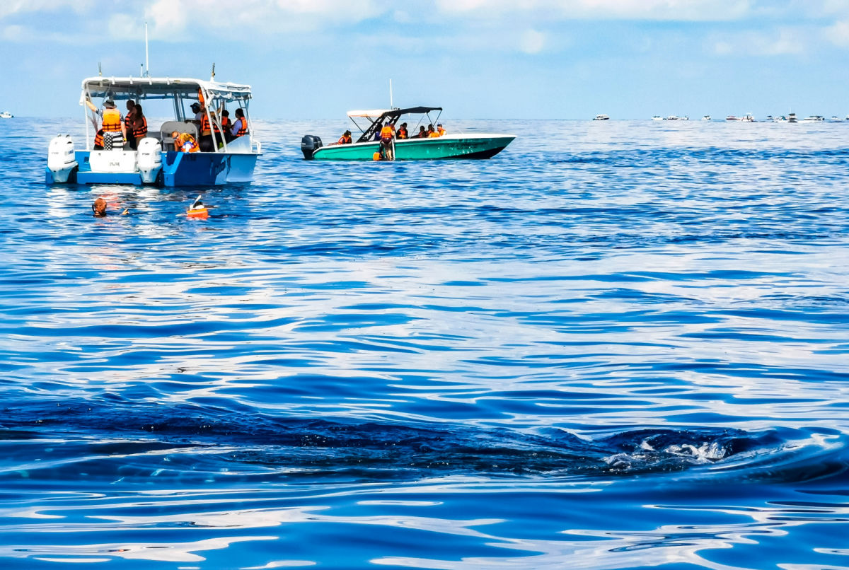 Cómo los turistas de Cancún pueden evitar el creciente número de proveedores de excursiones en barco falsos