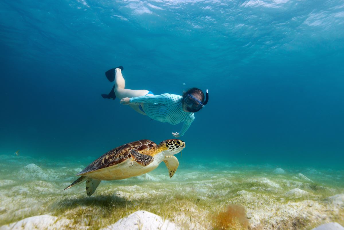 Mujer haciendo snorkel con tortuga