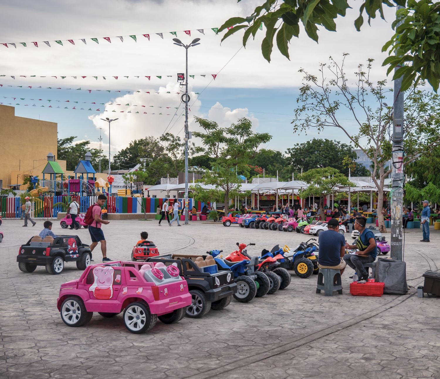 Autos eléctricos en Parque De palapas