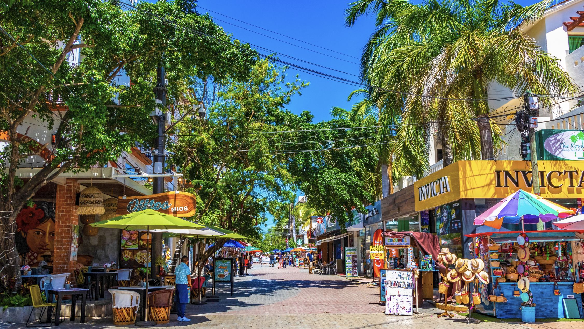 5ta avenida playa del carmen turistas