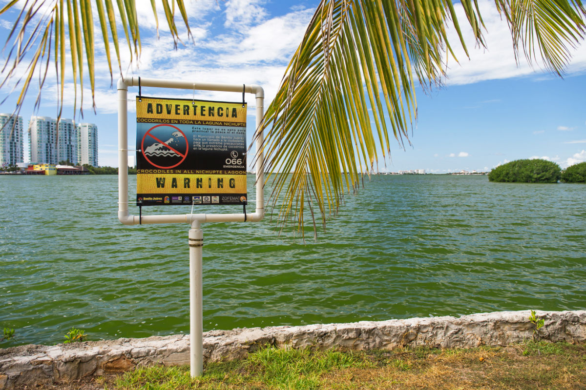 Cancún, firma de cocodrilos de advertencia de México cerca de la laguna Nichupte